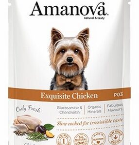 Amanova Dog Adult Exquisite Chicken - kurczak saszetka 100g [P03]
