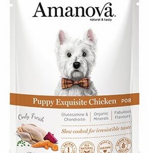 Amanova Dog Puppy Exquisite Chicken - kurczak saszetka 100g [P08]