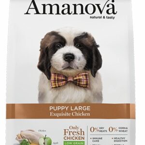 Amanova Dog Puppy Large Exquisite Chicken - kurczak 12kg