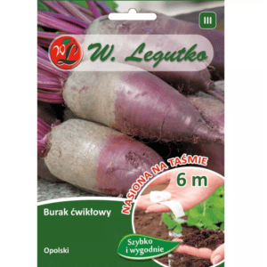 Burak ćwikłowy Opolski - cylindryczny