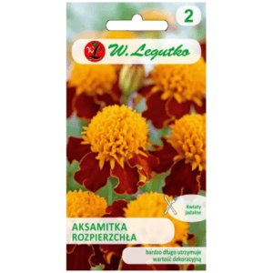 Aksamitka rozpierzchła 'Orange Flame' – pomarańczowo-brązowa, 1 g