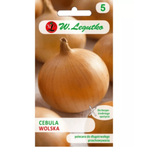 Cebula 'Wolska' – łuska słomkowożółta, odmiana późna